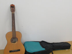  Nr._053_Akkustikgitarre_mit_Tasche__gebraucht__Mindestgebot_20_Euro_01.JPG