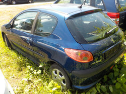 Nr._016_03_Peugeot_206.JPG