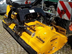  Nr._074_03_Mulcher_Müthing_MUL_220_31_Mindestgebot_1.000_Euro.JPG