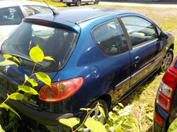 Nr._016_04_Peugeot_206.JPG