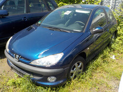 Nr._016_01_Peugeot_206.JPG